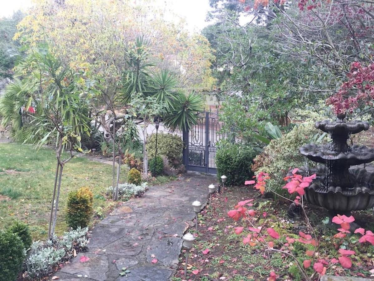 Serene Charming Private Suite Patio, Upscale Berkeley Exteriér fotografie